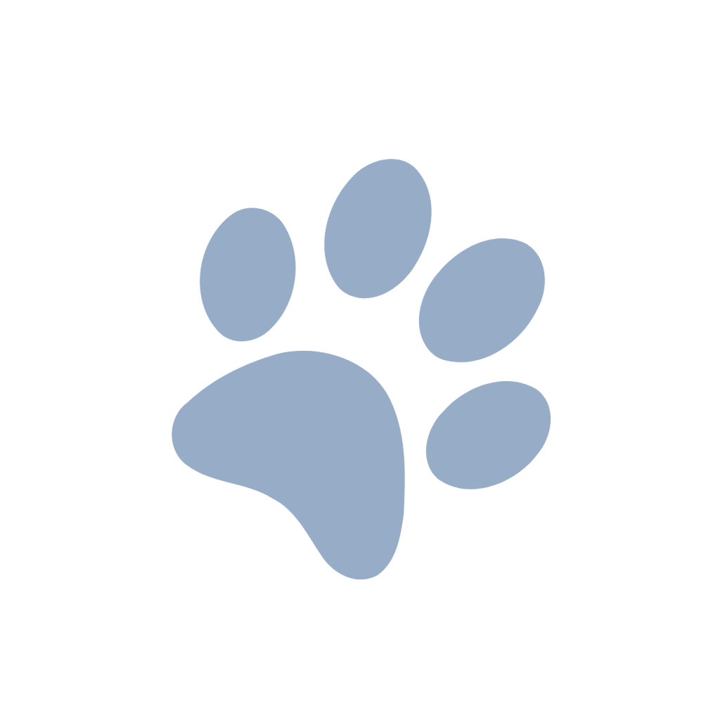 Patte de chien