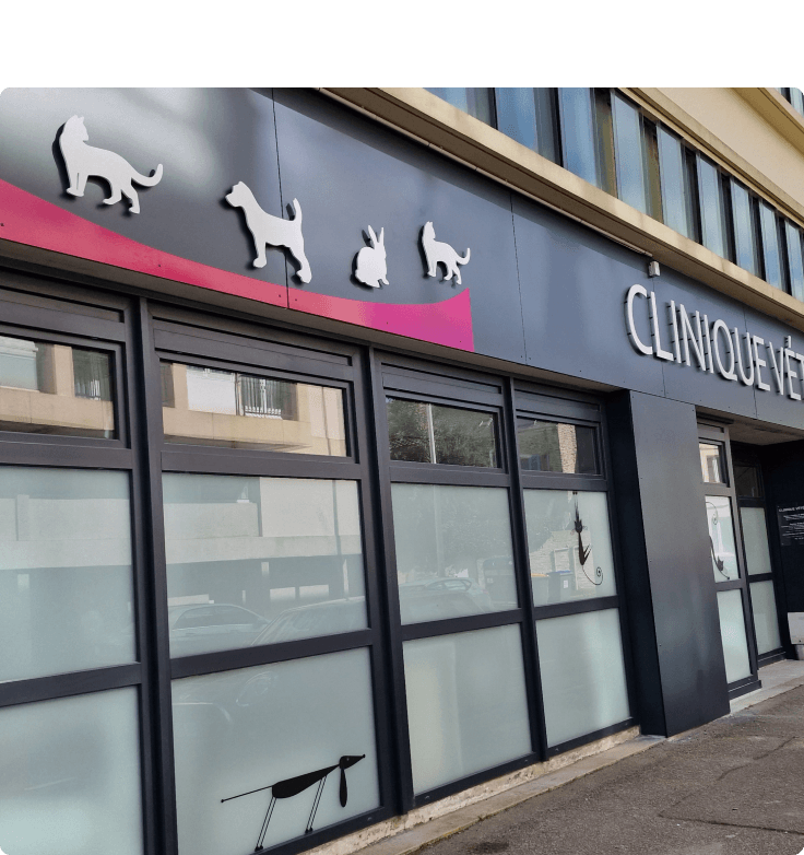 Cherbourg-7