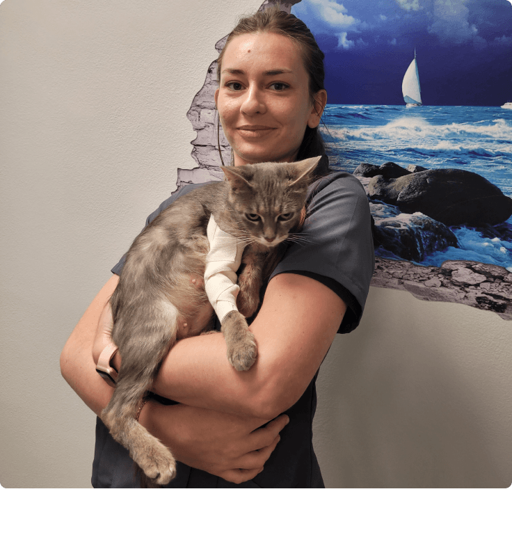 Vétérinaire chat