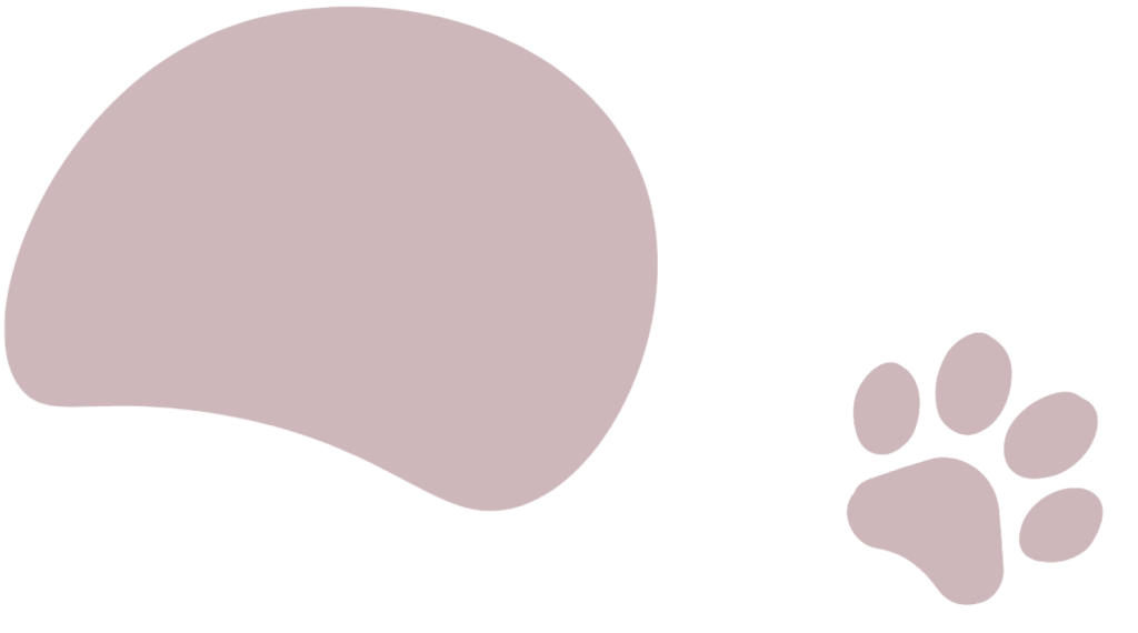 Fond visuel animal