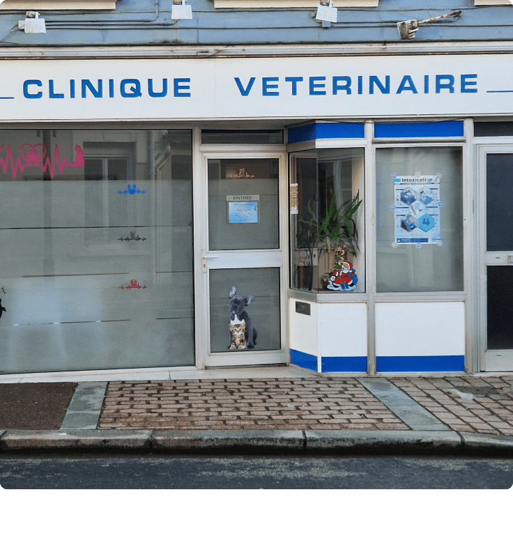 Tourlaville-2